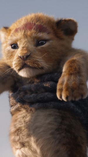Simba from The Lion King