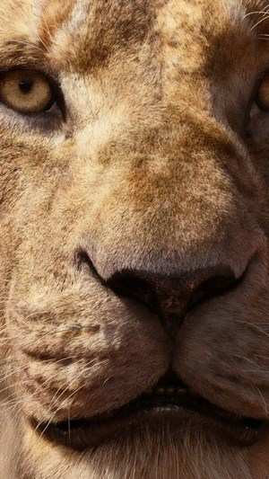 Sarabi from The Lion King