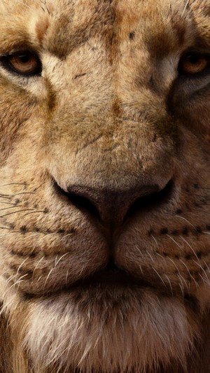 Mufasa from The Lion King