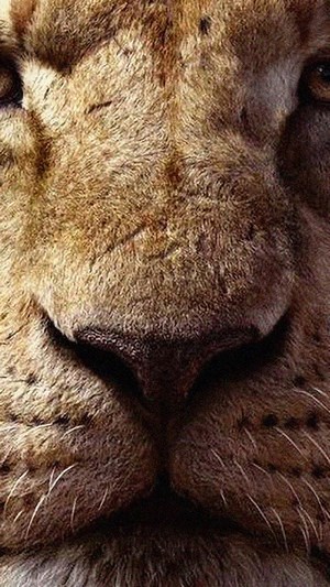 Mufasa from The Lion King