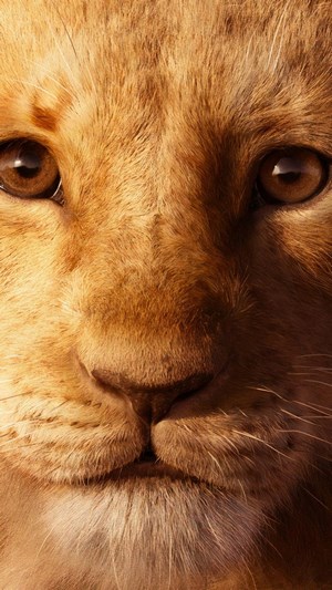 Simba from The Lion King