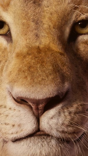 Nala from The Lion King (2019)