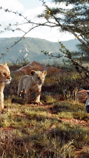 Simba and Nala from The Lion King