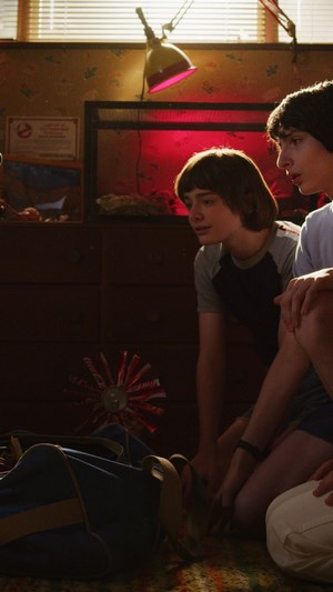 Will and Mike from Stranger Things