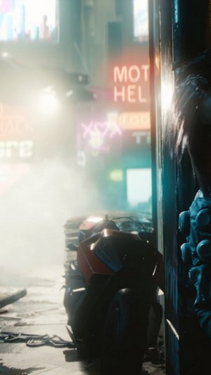 Cyberpunk 2077 V
