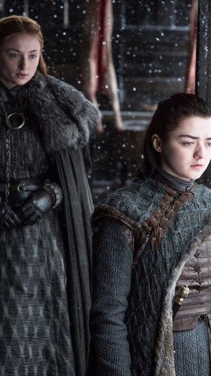 Sansa Stark and Arya Stark from Game of Thrones