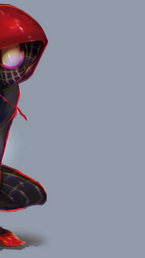 Miles Morales from Spider-Man: Into the Spider-Verse