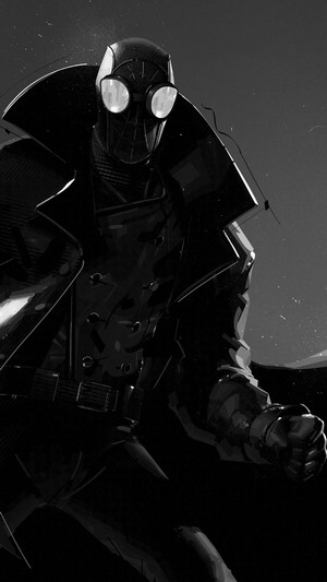 Spider-Man Noir from Spider-Man: Into the Spider-Verse