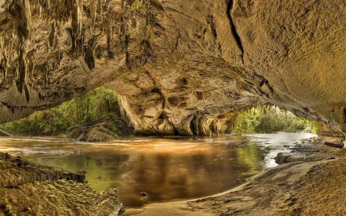 Cave opening with river and forest view