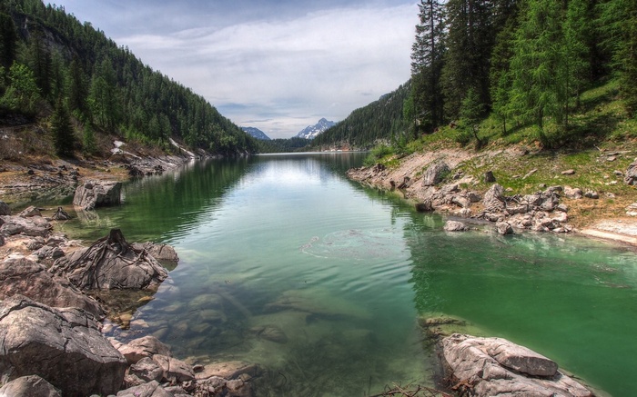 Lake surrounded by pine forest and rocky mountains