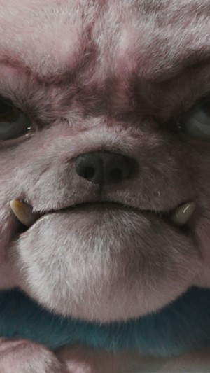 Snubbull from Pokemon: Detective Pikachu
