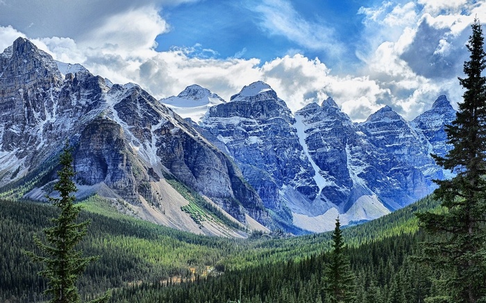 Snow-capped mountains and pine forest under a cloudy sky