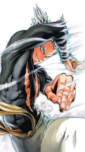 Garou One Punch Man