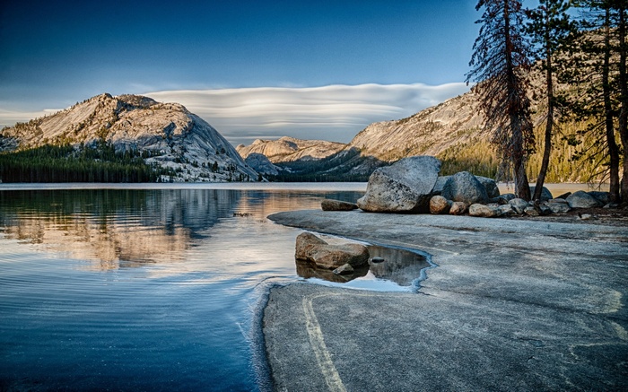 Lake and Mountains with Trees