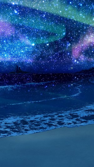 Beach under a starry night sky with aurora
