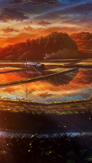Anime Sunset over Paddy Fields with a Small House