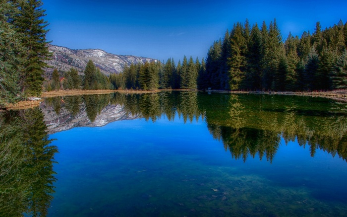 Lake reflecting pine trees and snow-capped mountains