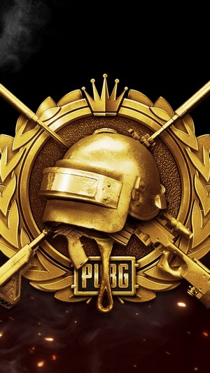 PUBG Lone Survivor Rank Logo PlayerUnknowns Battlegrounds