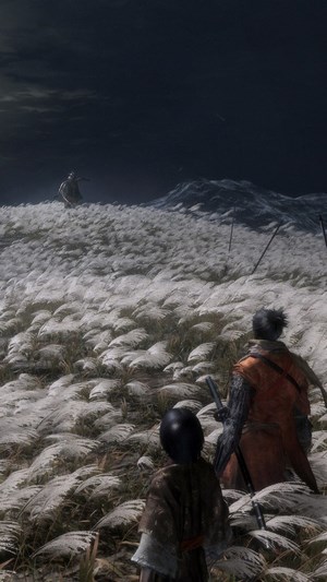 Sekiro: Shadows Die Twice