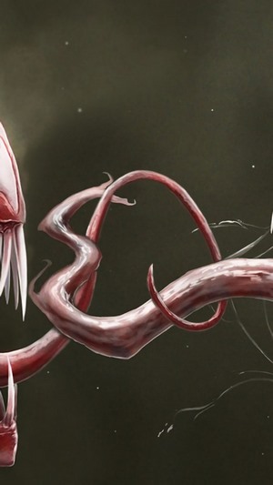 Carnage from Venom