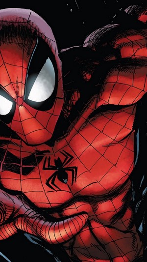 Spider-Man close-up
