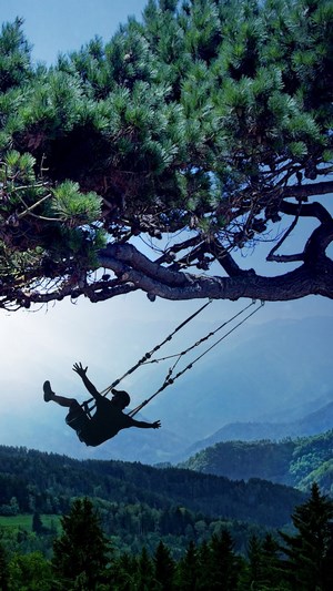 Silhouette of a person on a swing under a pine tree
