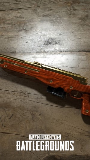 Sniper Rifle from PlayerUnknown's Battlegrounds
