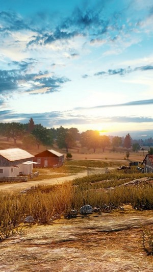 PlayerUnknowns Battlegrounds farm landscape at sunset