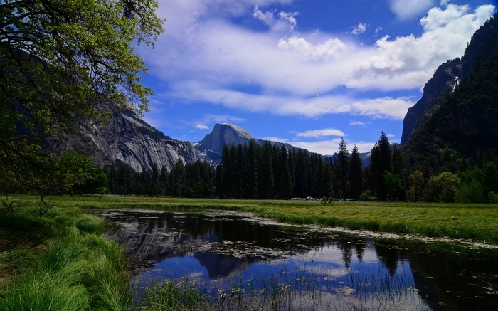 Half Dome reflected in a calm body of water in Yosemite Valley
