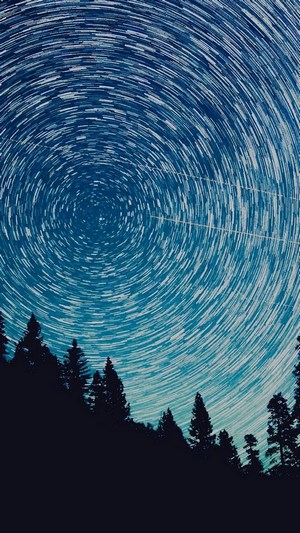 Star Trails Over Silhouetted Trees at Night
