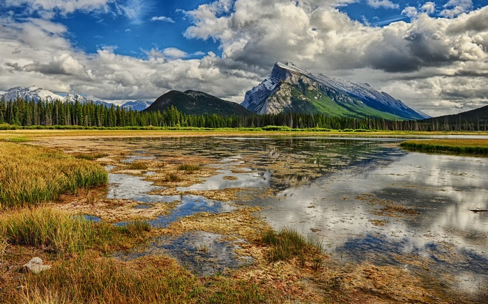 Mountain range reflected in a marshy lake under a cloudy sky