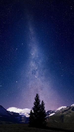 Milky Way over Mountains and Trees at Night