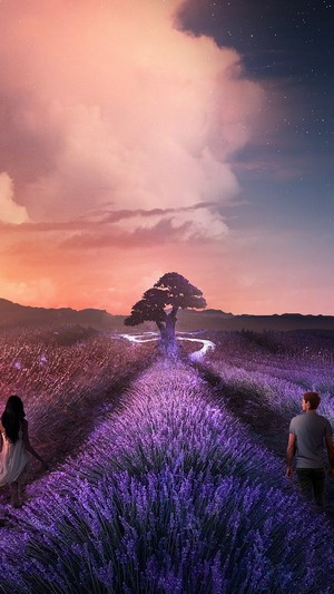 Couple walking in lavender field towards a tree