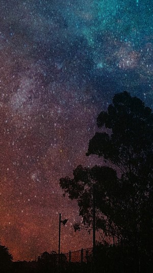 Night sky with stars and silhouette of trees