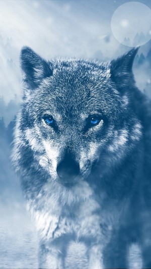 Wolf with blue eyes in a foggy forest