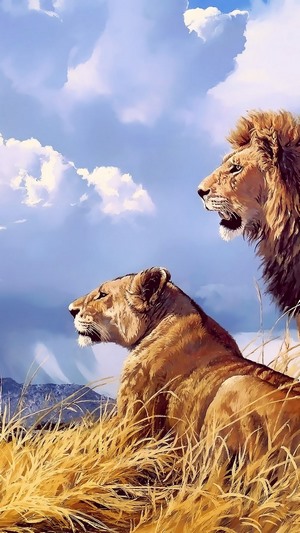Lion and Lioness in the Savannah