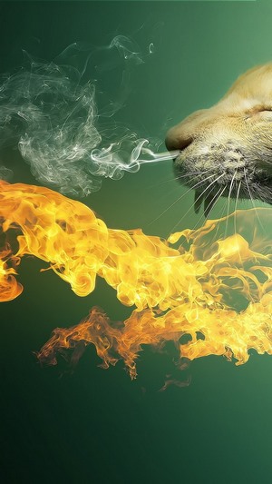 Cat breathing fire and smoke