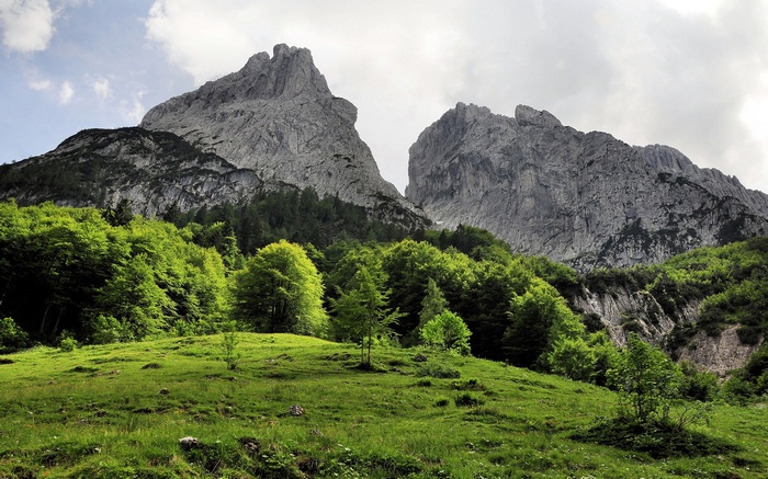 Jagged mountain peaks above a green forest and meadow