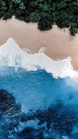 Aerial view of a tropical beach with lush green trees and blue ocean waves