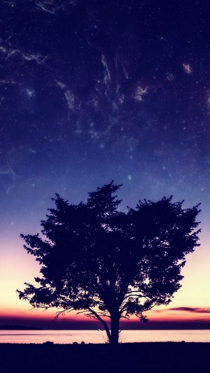 Silhouette of a tree against a starry night sky and horizon
