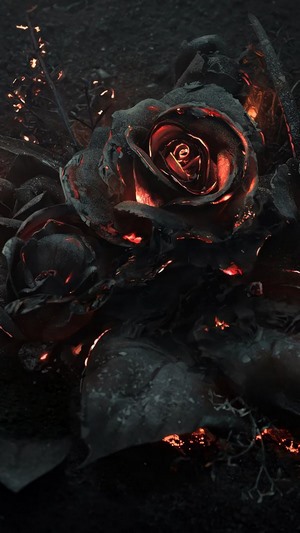 Burning black roses with glowing embers