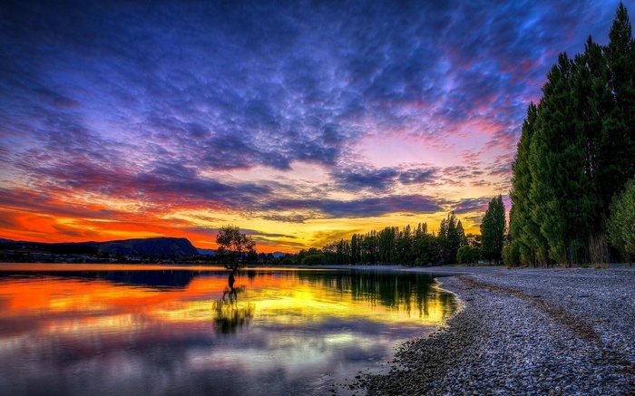 Sunset over a lake with a lone tree