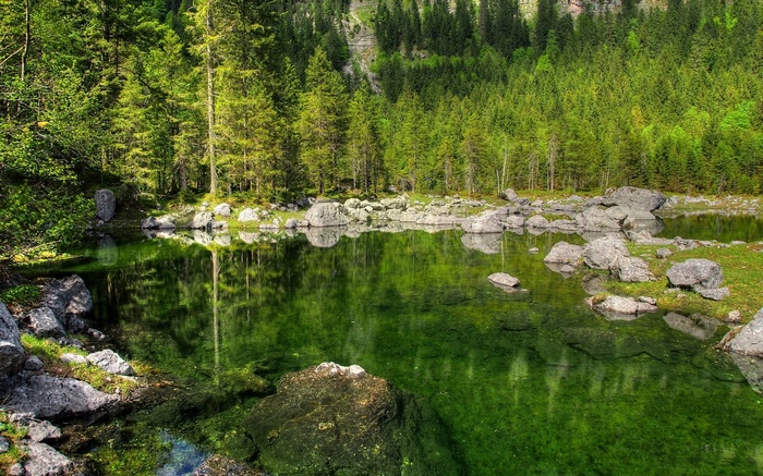 Green forest reflecting in a clear lake with rocks