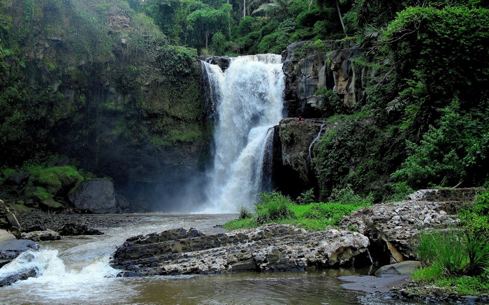 Waterfall cascading into a river surrounded by jungle