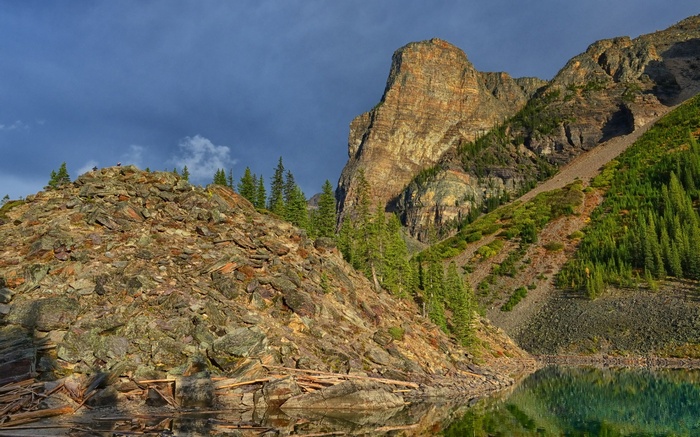 Rocky mountain slope with trees and lake reflection
