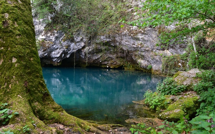 Blue water spring in a rocky cave with mossy tree