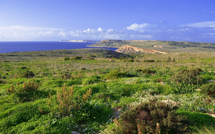 Coastal landscape with cliffs and sea