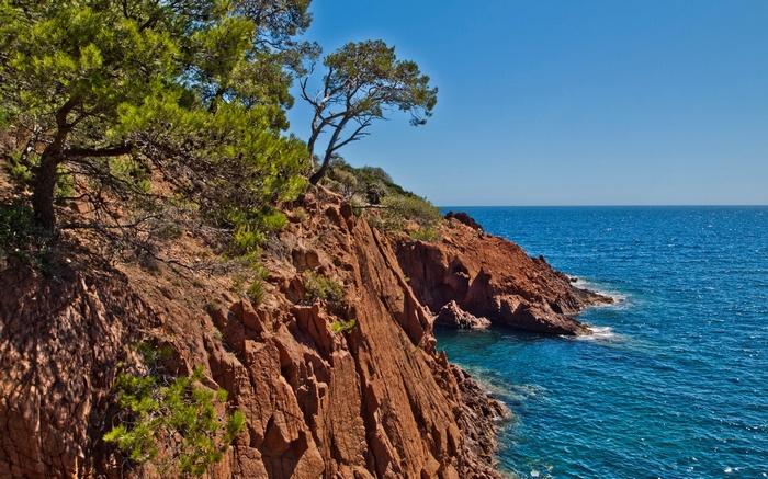 Red rocky coast with pine trees and blue ocean