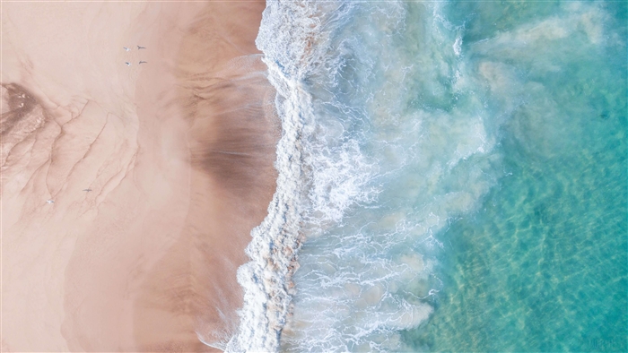 Aerial view of a beach with waves and birds