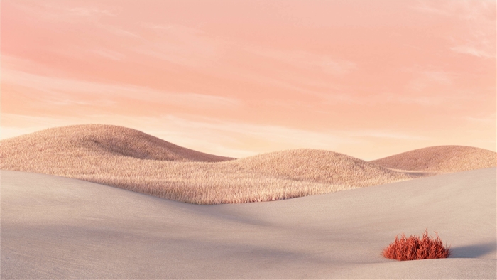 Desert Landscape with Pink Sky 4K